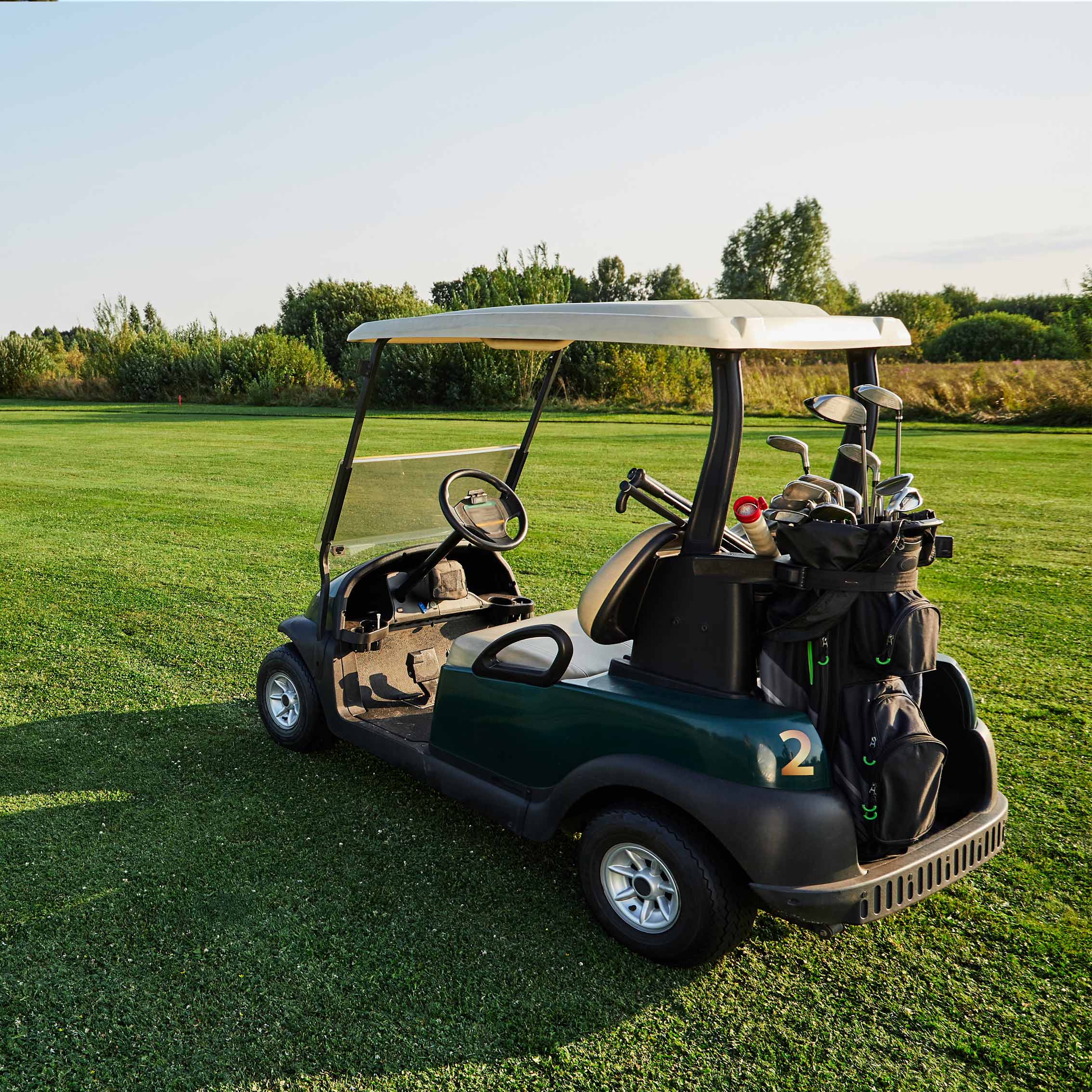 Golf Cart Gear Sets